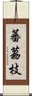 蕃茘枝 Scroll
