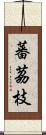 蕃茘枝 Scroll