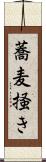 蕎麦掻き Scroll