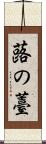 蕗の薹 Scroll