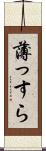 薄っすら Scroll