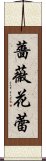 薔薇花蕾 Scroll