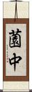 薗中 Scroll