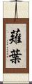 薙葉 Scroll