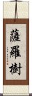 薩羅樹 Scroll