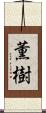 薫樹 Scroll