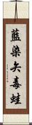 藍染矢毒蛙 Scroll