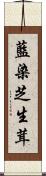 藍染芝生茸 Scroll