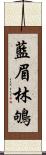 藍眉林鴝 Scroll