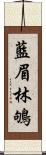 藍眉林鴝 Scroll