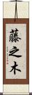 藤之木 Scroll
