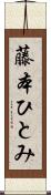 藤本ひとみ Scroll