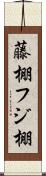 藤棚;フジ棚 Scroll