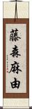 藤森麻由 Scroll