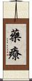 藥療 Scroll