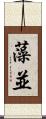 藻並 Scroll