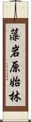 藻岩原始林 Scroll