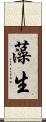 藻生 Scroll