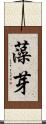 藻芽 Scroll