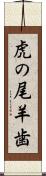虎の尾羊歯 Scroll