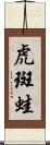 虎斑蛙 Scroll