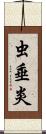 虫垂炎 Scroll
