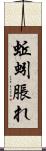 蚯蚓脹れ Scroll