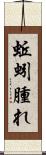 蚯蚓腫れ Scroll