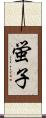 蛍子 Scroll