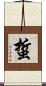 蜇 Scroll