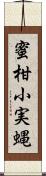 蜜柑小実蝿 Scroll