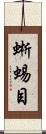 蜥蜴目 Scroll