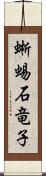 蜥蜴 Scroll