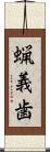 蝋義歯 Scroll