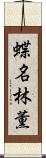 蝶名林薫 Scroll