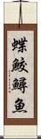 蝶鮫 Scroll