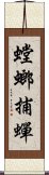 螳螂捕蟬 Scroll