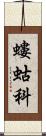 螻蛄科 Scroll