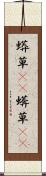 蟒草(rK) Scroll