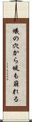 蟻の穴から堤も崩れる Scroll