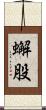 蠏股 Scroll