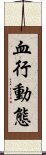 血行動態 Scroll