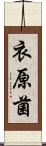 衣原菌 Scroll