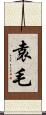 袁毛 Scroll