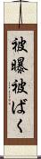 被曝 Scroll
