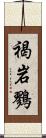 褐岩鷚 Scroll