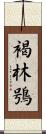 褐林鴞 Scroll