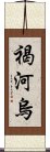 褐河烏 Scroll