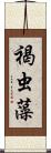 褐虫藻 Scroll