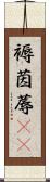 褥 Scroll